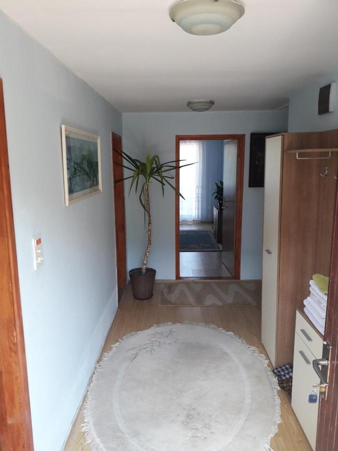 Prenociste Vitas Bed & Breakfast Miljevina Eksteriør bilde