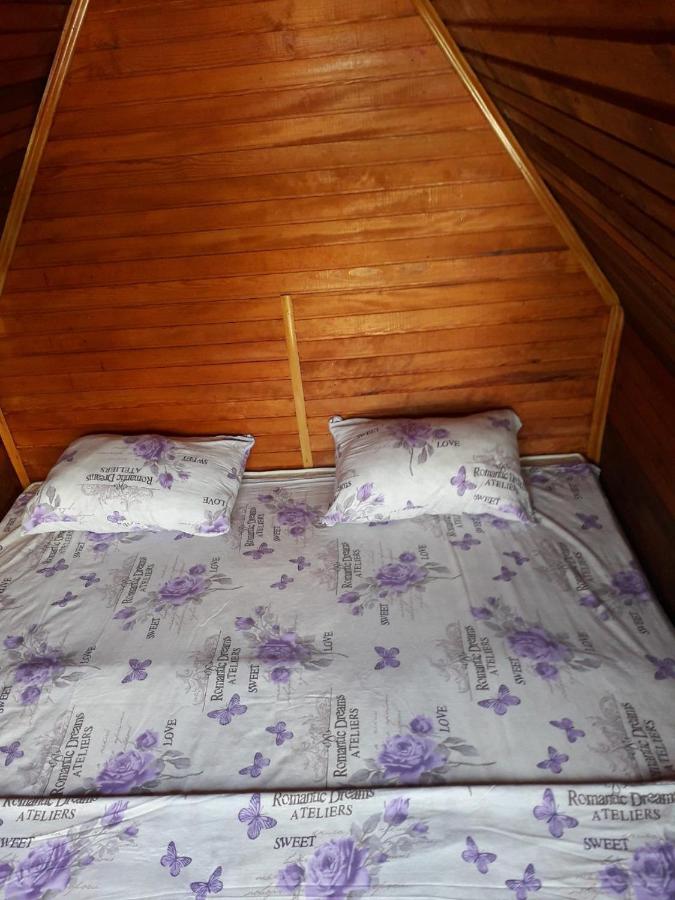 Prenociste Vitas Bed & Breakfast Miljevina Eksteriør bilde