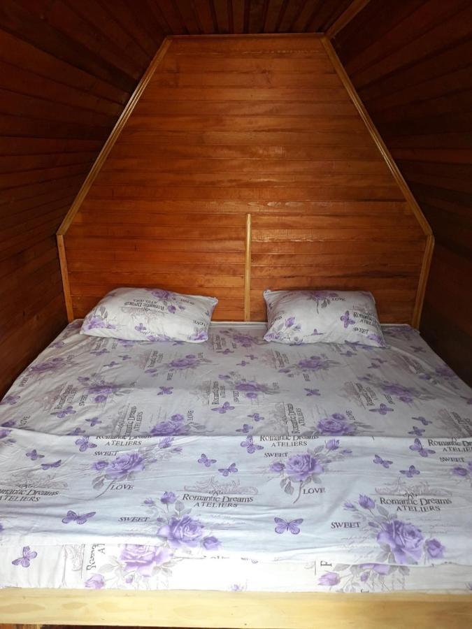 Prenociste Vitas Bed & Breakfast Miljevina Eksteriør bilde