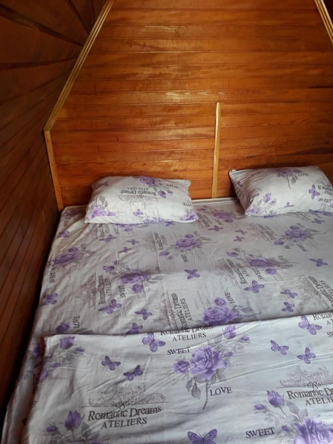 Prenociste Vitas Bed & Breakfast Miljevina Eksteriør bilde